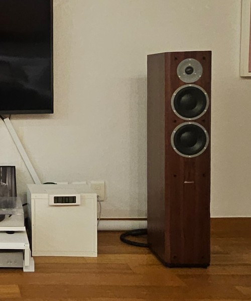 다인 포커스 260